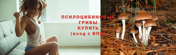 прущие крисы Белокуриха