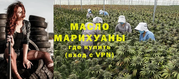 шишки Слюдянка