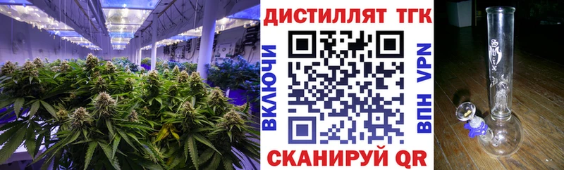 как найти закладки  omg как войти  Дистиллят ТГК вейп  Мураши 