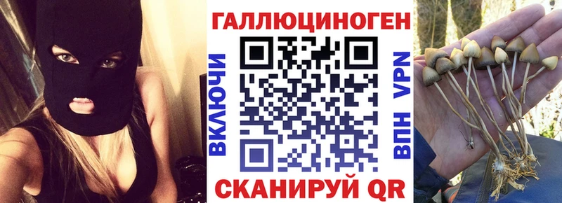 Галлюциногенные грибы прущие грибы  Мураши 